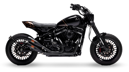 2021 Harley Davidson Fatbob Gallery