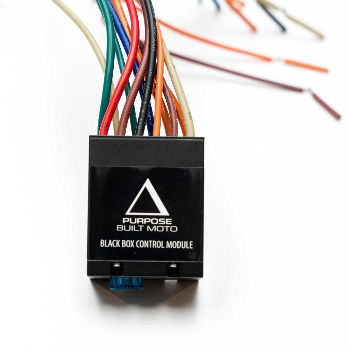 Purpose Built Moto Black Box V3 | Lighting Control Module